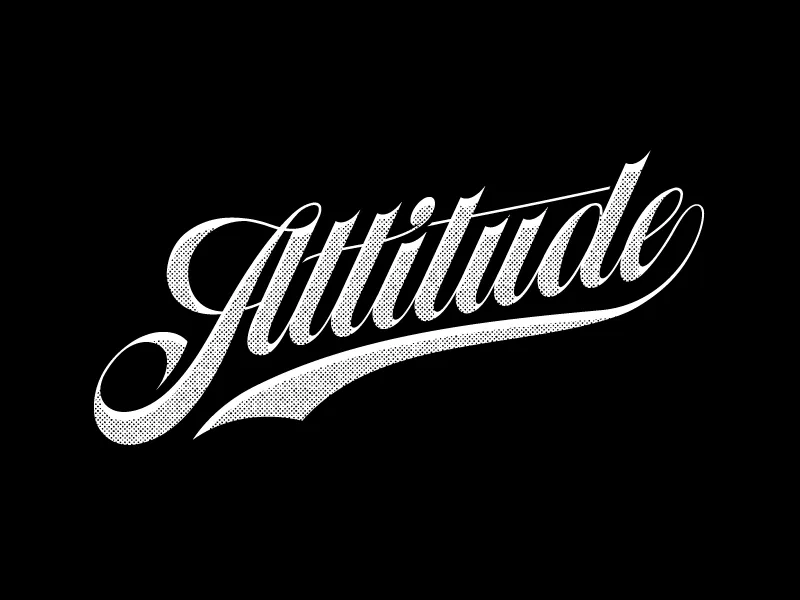 Attitude