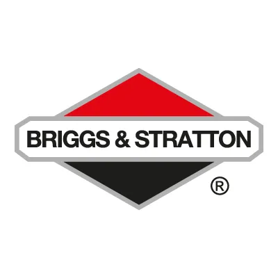 Logo for briggs