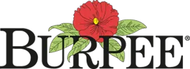 Logo for burpee