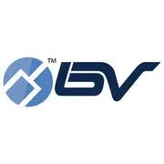 Logo for bvsecurity