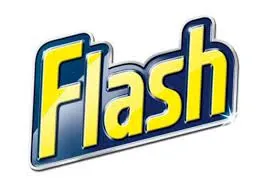 Logo for flash