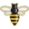 Logo for glorybee