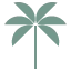 Logo for honolulucoffee