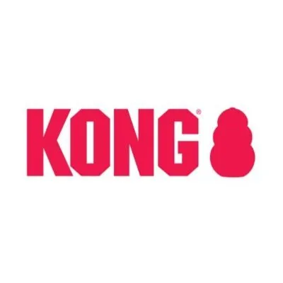 Logo for kong