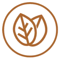 Logo for madeterra
