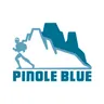 Logo for pinoleblue