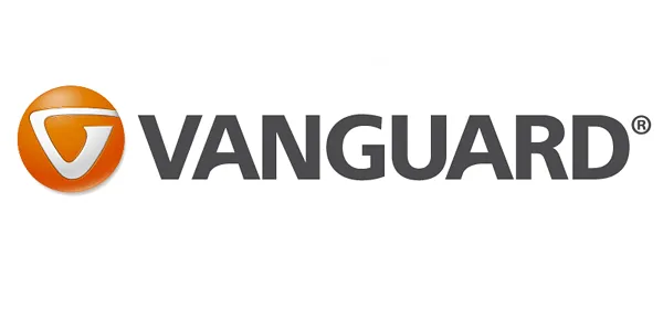 Logo for vanguard