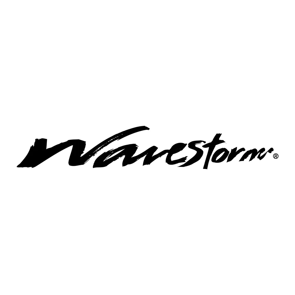 Logo for wavestorm